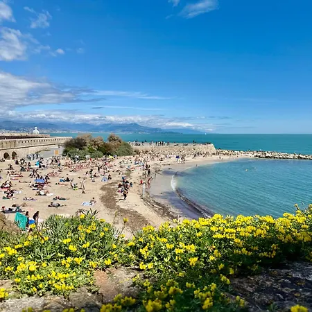 Le Palais Aubernon Antibes