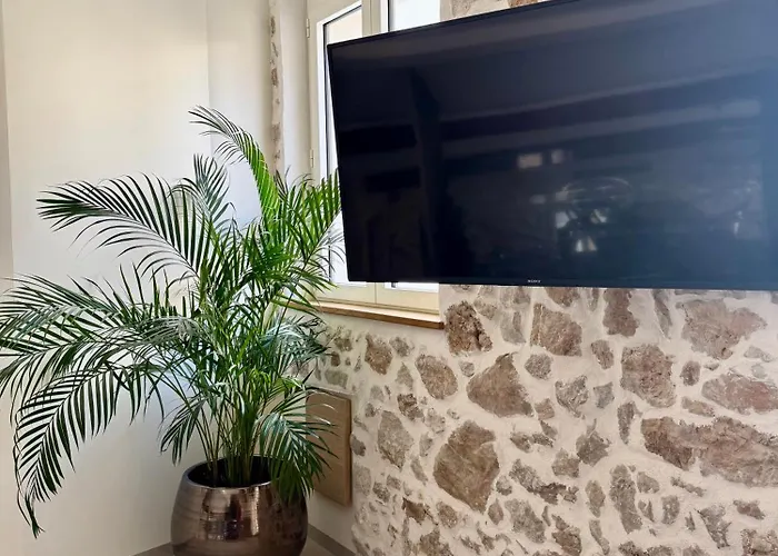 Le Palais Aubernon Apartment